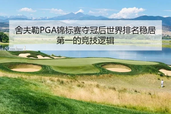 舍夫勒PGA锦标赛夺冠后世界排名稳居第一的竞技逻辑