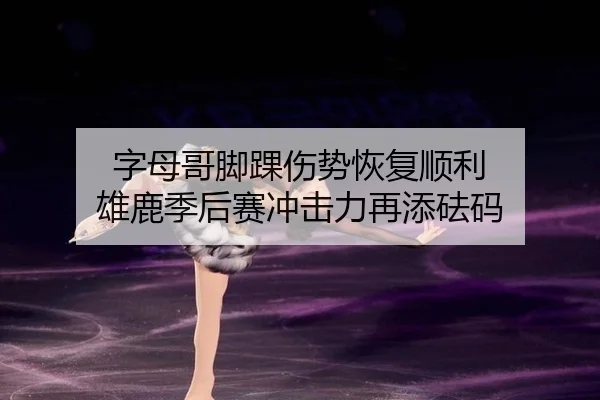 字母哥脚踝伤势恢复顺利 雄鹿季后赛冲击力再添砝码